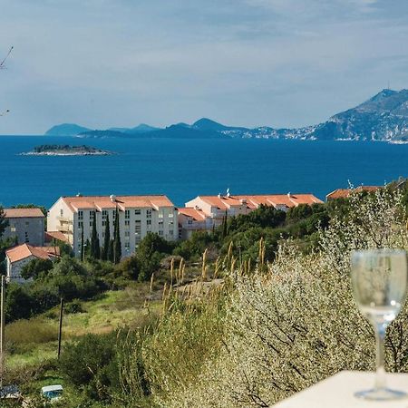 Nice Apartment In Cavtat With Wifi Extérieur photo